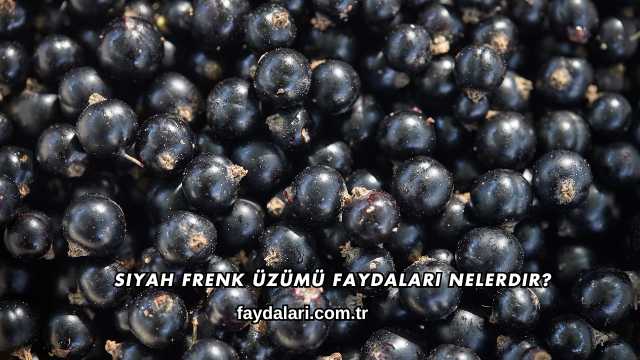 Siyah Frenk Üzümü Faydaları Nelerdir?