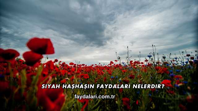 Siyah Haşhaşın Faydaları Nelerdir?