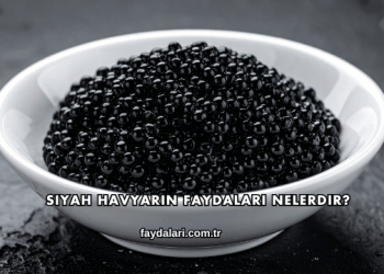 Siyah Havyarın Faydaları Nelerdir?