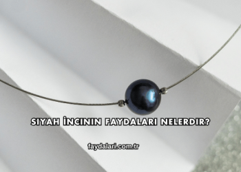 Siyah İncinin Faydaları Nelerdir?