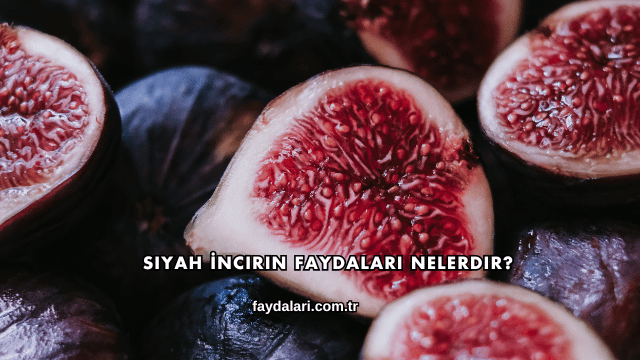 Siyah İncirin Faydaları Nelerdir?
