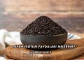 Siyah İsotun Faydaları Nelerdir?
