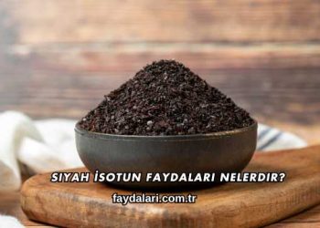 Siyah İsotun Faydaları Nelerdir?