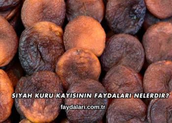 Siyah Kuru Kayısının Faydaları Nelerdir?