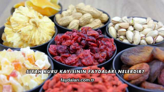 Siyah Kuru Kayısının Faydaları Nelerdir?