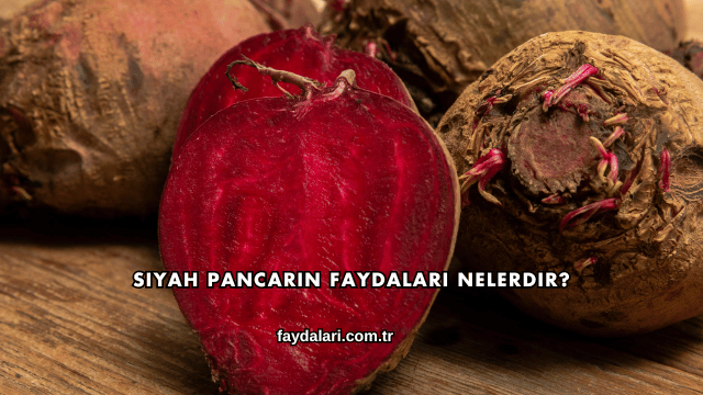 Siyah Pancarın Faydaları Nelerdir?