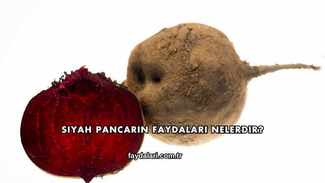Siyah Pancarın Faydaları Nelerdir?