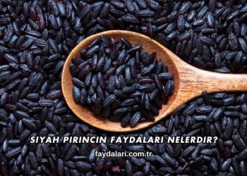 Siyah Pirincin Faydaları Nelerdir?
