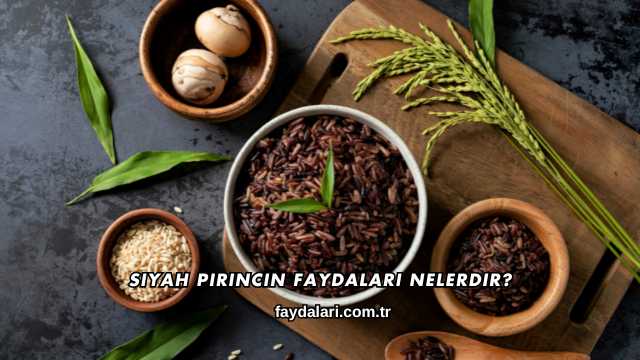 Siyah Pirincin Faydaları Nelerdir?