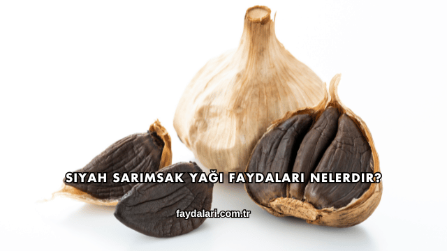 Siyah Sarımsak Yağı Faydaları Nelerdir?
