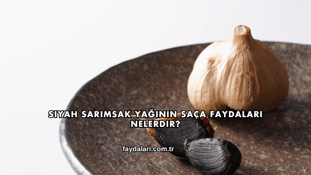 Siyah Sarımsak Yağının Saça Faydaları Nelerdir?