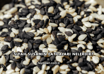 Siyah Susamın Faydaları Nelerdir?