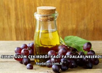 Siyah Üzüm Çekirdeği Yağı Faydaları Nelerdir?