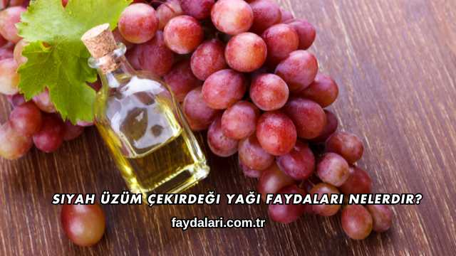 Siyah Üzüm Çekirdeği Yağı Faydaları Nelerdir?