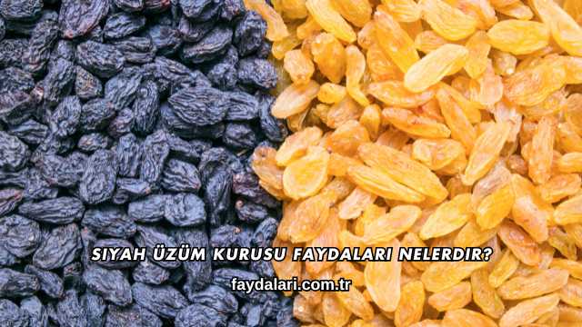 Siyah Üzüm Kurusu Faydaları Nelerdir?