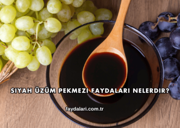 Siyah Üzüm Pekmezi Faydaları Nelerdir?