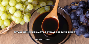 Siyah Üzüm Pekmezi Faydaları Nelerdir?