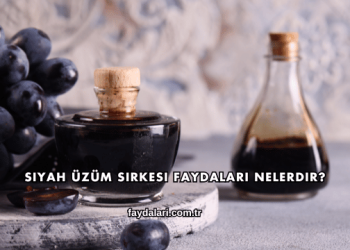 Siyah Üzüm Sirkesi Faydaları Nelerdir?