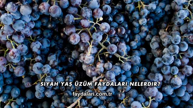 Siyah Yaş Üzüm Faydaları Nelerdir?