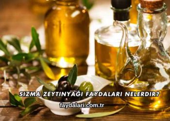Sızma Zeytinyağı Faydaları Nelerdir?