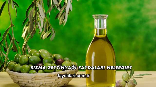 Sızma Zeytinyağı Faydaları Nelerdir?