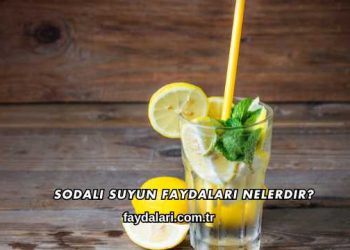 Sodalı Suyun Faydaları Nelerdir?