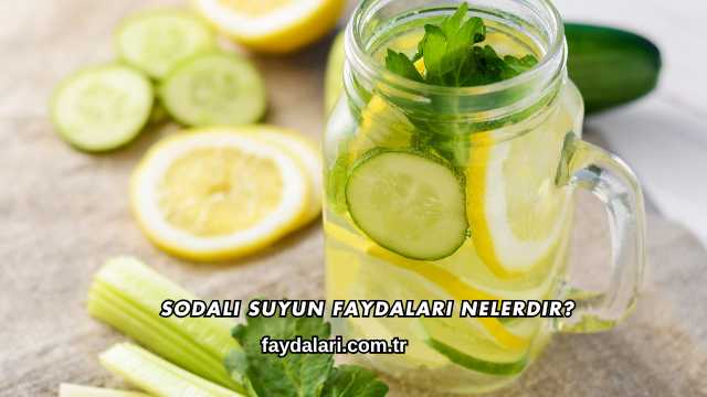 Sodalı Suyun Faydaları Nelerdir?