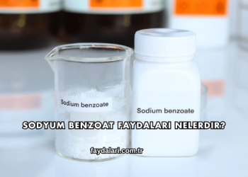 Sodyum Benzoat Faydaları Nelerdir?