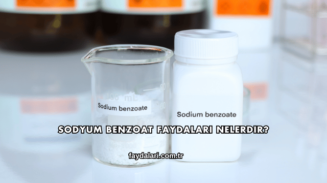 Sodyum Benzoat Faydaları Nelerdir?