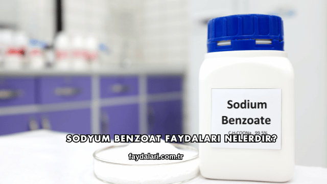 Sodyum Benzoat Faydaları Nelerdir?