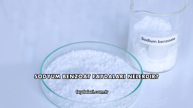 Sodyum Benzoat Faydaları Nelerdir?