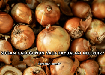 Soğan Kabuğunun Saça Faydaları Nelerdir?