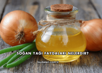 Soğan Yağı Faydaları Nelerdir?