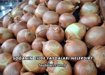 Soğanın Cilde Faydaları Nelerdir?