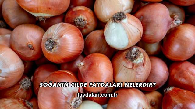 Soğanın Cilde Faydaları Nelerdir?