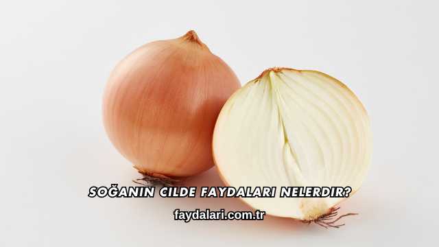 Soğanın Cilde Faydaları Nelerdir?