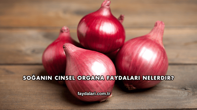 Soğanın Cinsel Organa Faydaları Nelerdir?