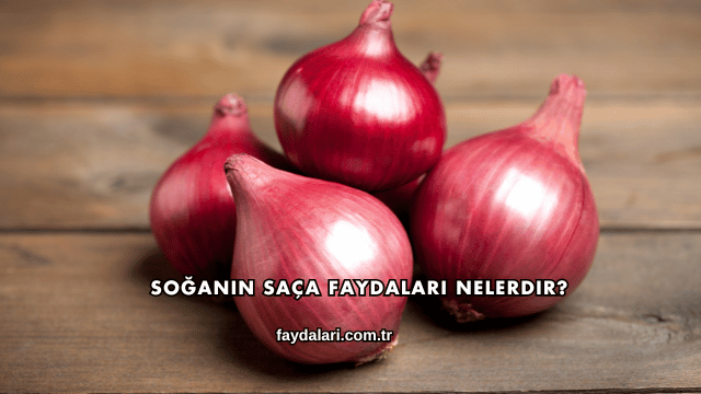 Soğanın Saça Faydaları Nelerdir?