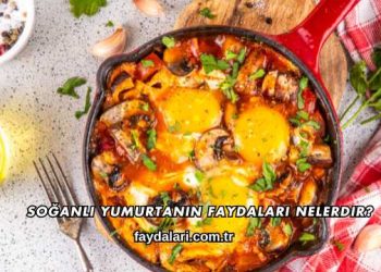 Soğanlı Yumurtanın Faydaları Nelerdir?