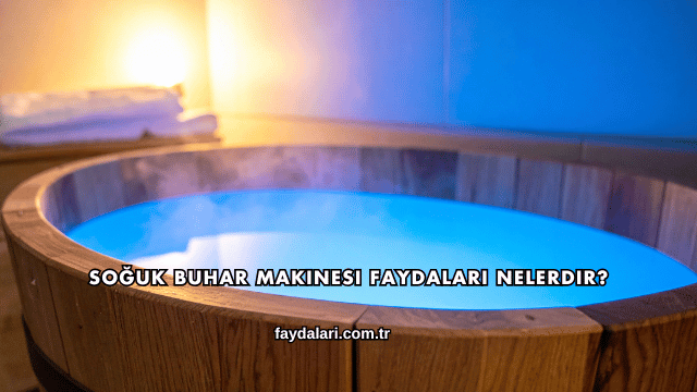 Soğuk Buhar Makinesi Faydaları Nelerdir?