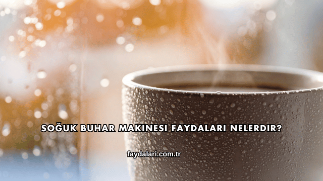 Soğuk Buhar Makinesi Faydaları Nelerdir?