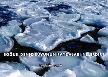 Soğuk Deniz Suyunun Faydaları Nelerdir?
