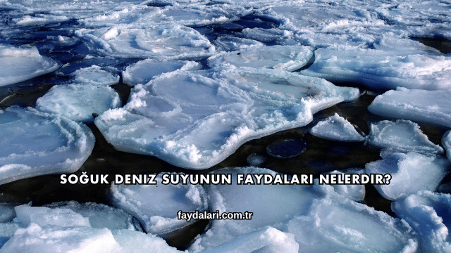 Soğuk Deniz Suyunun Faydaları Nelerdir?