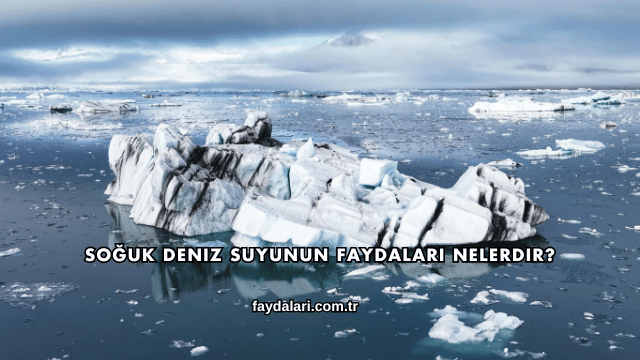 Soğuk Deniz Suyunun Faydaları Nelerdir?