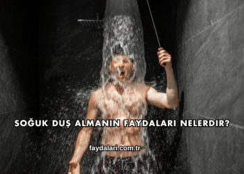 Soğuk Duş Almanın Faydaları Nelerdir?