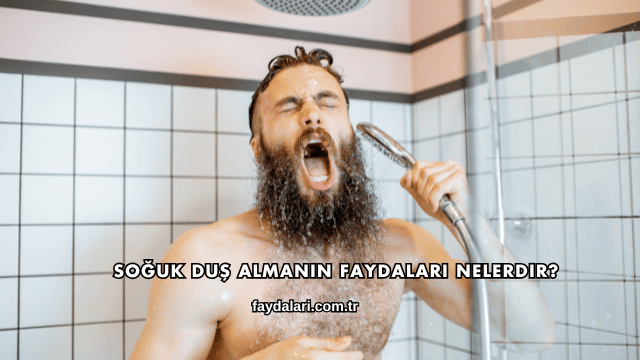 Soğuk Duş Almanın Faydaları Nelerdir?