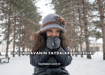 Soğuk Havanın Faydaları Nelerdir?