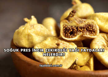 Soğuk Pres İncir Çekirdeği Yağı Faydaları Nelerdir?