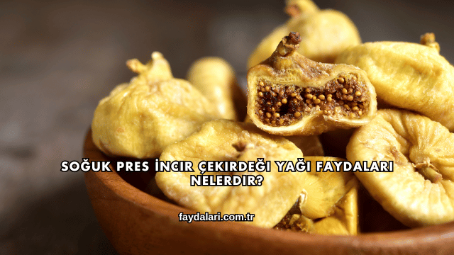 Soğuk Pres İncir Çekirdeği Yağı Faydaları Nelerdir?