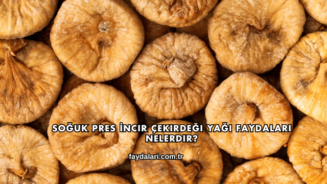 Soğuk Pres İncir Çekirdeği Yağı Faydaları Nelerdir?
